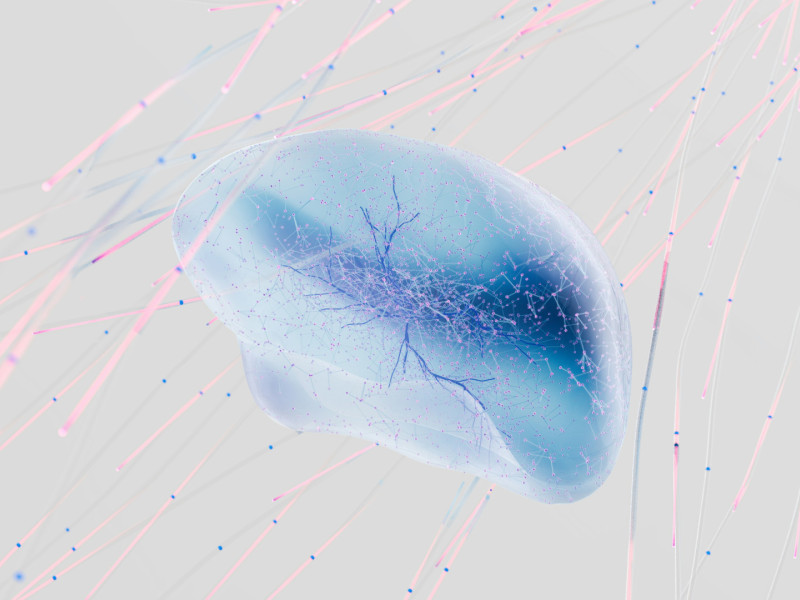 From Surviving to Thriving: How Neuroscience Creates Safer, Happier Work (Webinar Recording)