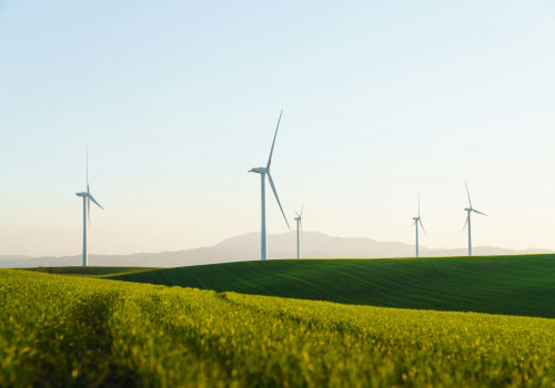 Leadership for Sustainability: Practical Strategies for Risk and Safety Management