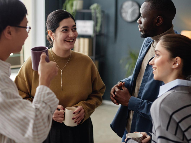 Launching the IIRSM Organisational Risk Map